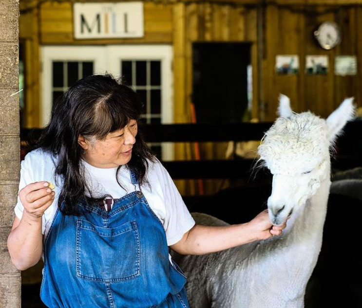 Alpaca owner Amy