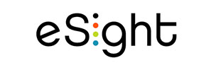 eSight Corp. 2013