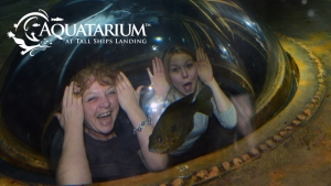 Aquatarium