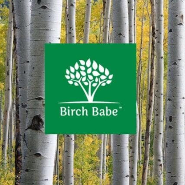 Birch Babe